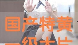 国产大片黄在线观看,揭秘热门影片背后的精彩故事