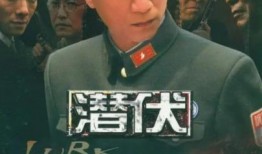 国产谍战剧,国产谍战剧中的智慧与忠诚