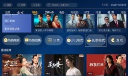 国产视频在线网站,探索国内在线平台的魅力之旅