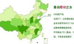 最新国产区,探索国产电影的新时代篇章