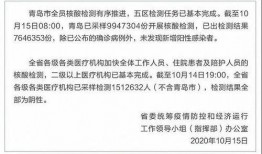 1024国产手机在线,引领科技潮流的国产力量