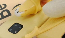 国产超级大香蕉,揭秘我国农业科技新成果