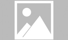 11国产精品视频