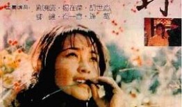 国产对白乱在线观看,笑料百出，方言魅力尽展