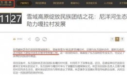 国产一级特黄aa大片,揭秘国产影视的激情与魅力